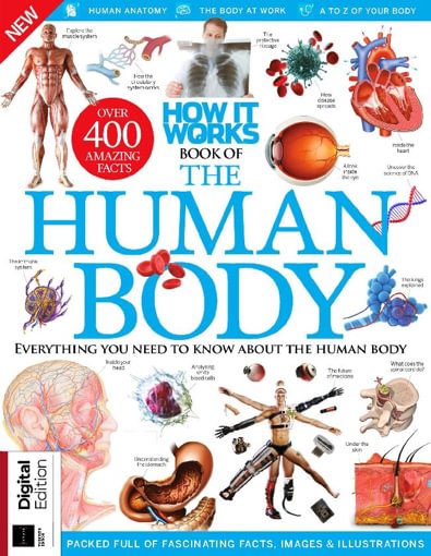 How It Works: Book of The Human Body digital cover
