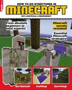 HOW TO DO EVERYTHING IN MINECRAFT