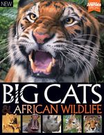 World of Animals Book of Big Cats and African Wild