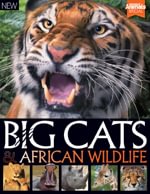 World of Animals Book of Big Cats and African Wild