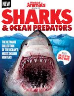 World of Animals Book of Sharks & Ocean Predators