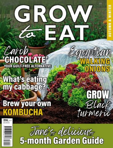 Grow to Eat digital cover