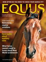 Equus