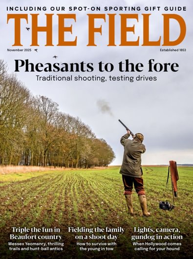The Field digital cover