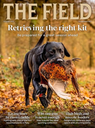 The Field digital cover