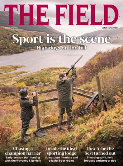 The Field digital cover
