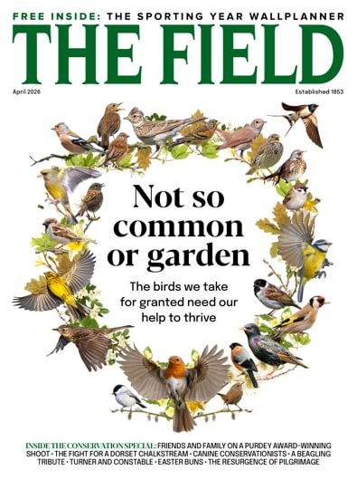 The Field digital cover