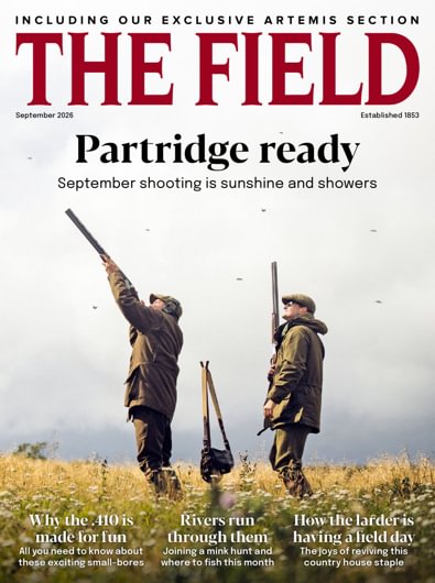 The Field digital cover