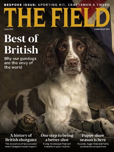 The Field digital cover