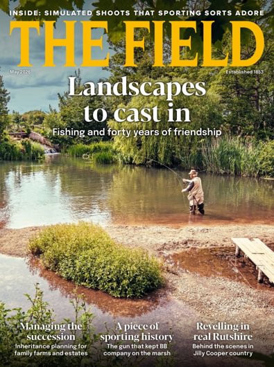 The Field digital cover