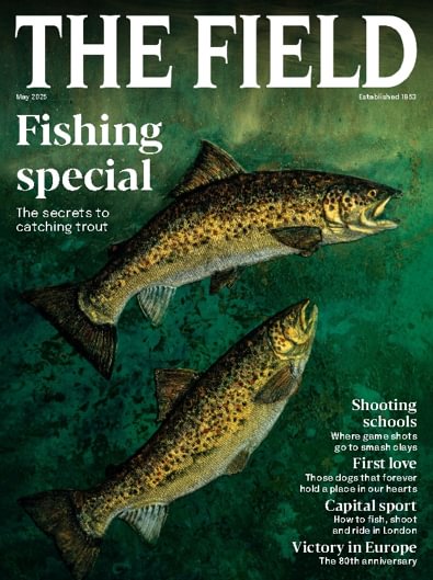 The Field digital cover