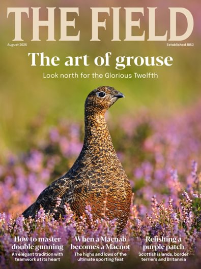 The Field digital cover