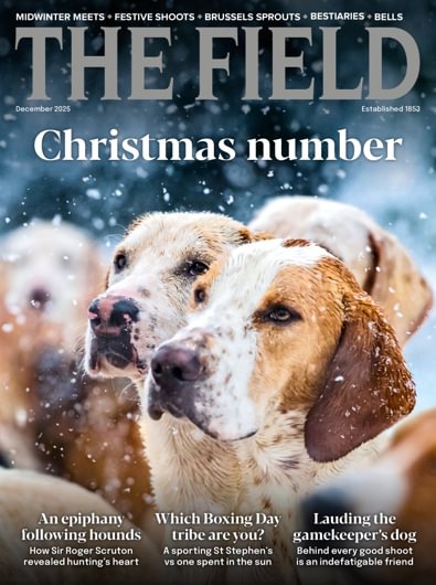 The Field digital cover