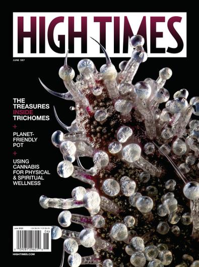 High Times digital cover