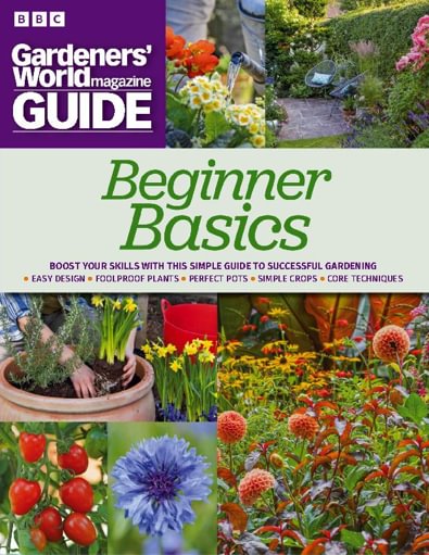 Beginners Basics 2023 digital cover