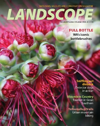 LANDSCOPE Magazine digital cover