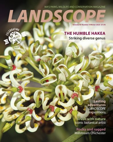 LANDSCOPE Magazine digital cover