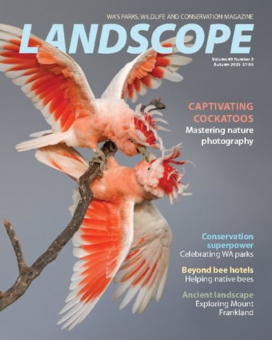 LANDSCOPE Magazine digital cover