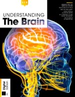 Understanding The Brain