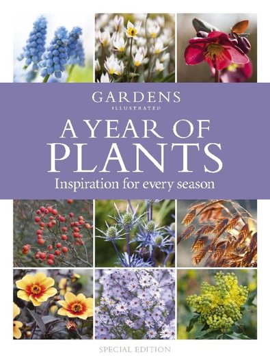 A Year of Plants - from the makers of Gardens Illu digital cover
