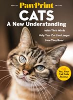 PawPrint Cats: A New Understanding