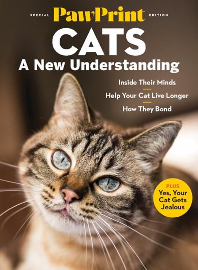 PawPrint Cats: A New Understanding digital cover