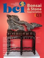 BCI Bonsai & Stone Appreciation Magazine