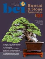BCI Bonsai & Stone Appreciation Magazine
