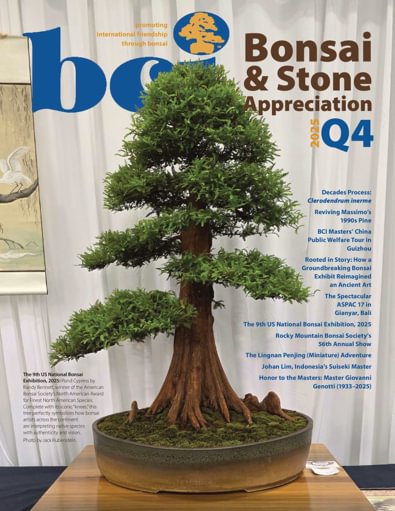 BCI Bonsai & Stone Appreciation Magazine digital cover