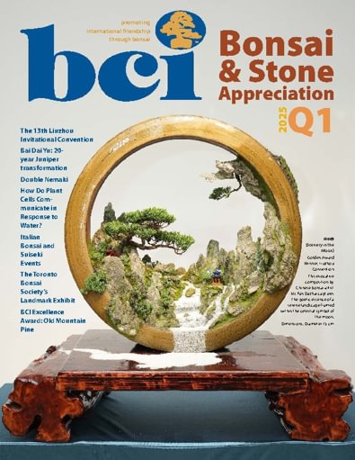 BCI Bonsai & Stone Appreciation Magazine digital cover
