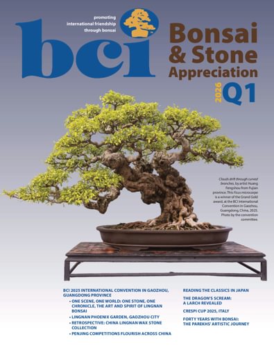 BCI Bonsai & Stone Appreciation Magazine digital cover