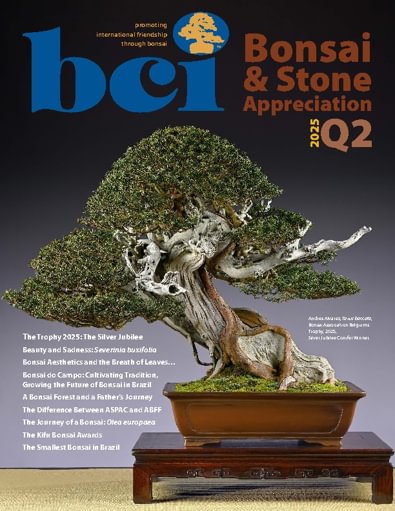 BCI Bonsai & Stone Appreciation Magazine digital cover