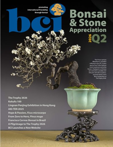 BCI Bonsai & Stone Appreciation Magazine Digital Subscription