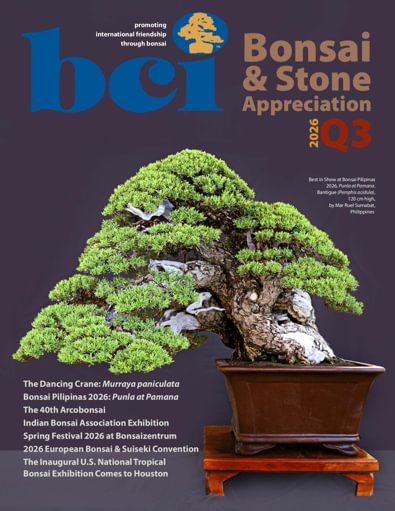 BCI Bonsai & Stone Appreciation Magazine digital cover