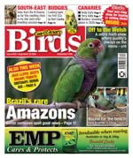 Cage & Aviary Birds
