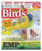 Cage & Aviary Birds