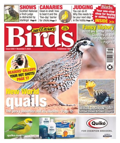 Cage & Aviary Birds digital cover