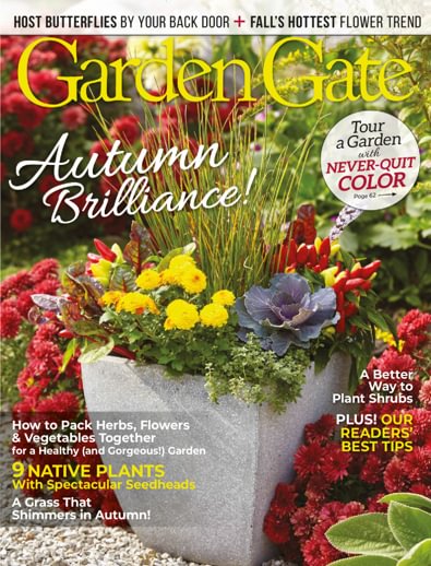 Garden Gate digital cover