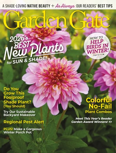 Garden Gate digital cover