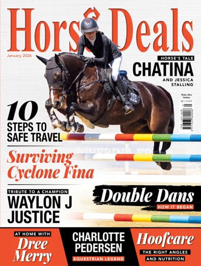 Horse Deals digital cover