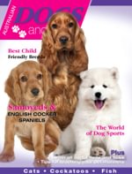 Australian Dogs & Pets