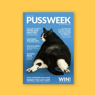 PUSSWEEK Issue Two magazine cover