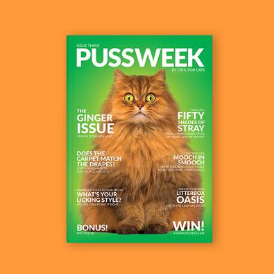 PUSSWEEK Issue Three magazine cover