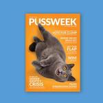 PUSSWEEK Issue Four