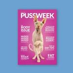 PUSSWEEK Issue Six