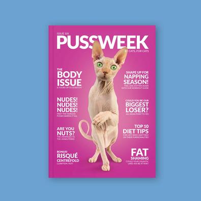 PUSSWEEK Issue Six magazine cover