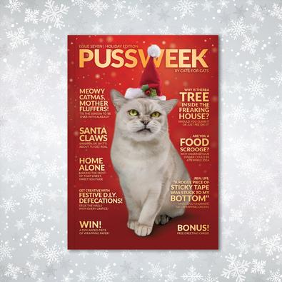 PUSSWEEK Issue Seven - The Holiday Edition magazine cover