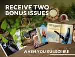 2 Bonus Issue