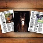 Horse Deals 2024 Horse Health diary alternate 2
