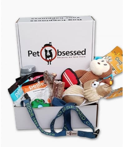 Pet Obsessed Large Dog Box cover